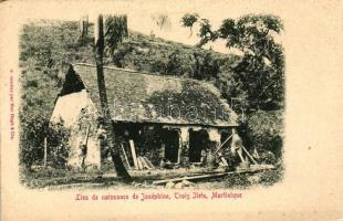 Les Trois-Ilets, Lieu de naissance de Josephine / Birthplace of Josephine