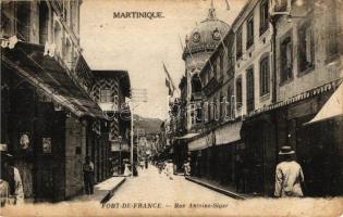 Fort-de-France, Antoine-Siger Road (EB)