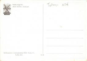 1938 Vsesokolsky slet v Praze / Sokol postcard, patriotic propaganda s: J. Soukup