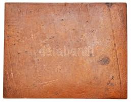 DN "Szabolcs-Szatmár megye víziútjain" Br plakett, lyuk a felső peremén (55x70mm) T:2