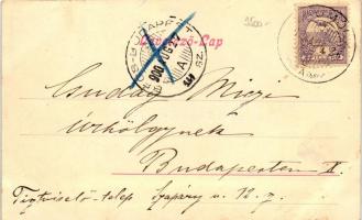 Bajmóc, Vár, Mátyás király hársfa, templom / castle, church; floral