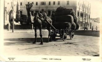 Camel Car Karachi (EK)