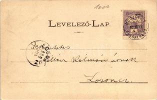 Fülek, Vár; Divald műintézet, Eperjes / castle