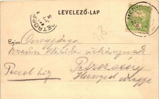 Dézna, Vár / castle