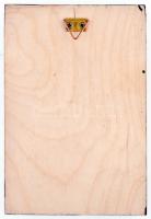 Pató Róza (1934-) 1986. "Liszt Ferenc - 30 éves a Törökszentmiklósi Liszt Ferenc Kórus" Br...