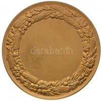 Berán Lajos (1882-1943) 1933. "TESZ-Nemzeti Munkahét" aranyozott Br emlékérem (61mm) T:1,1...