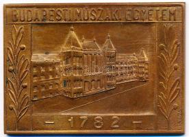 1982. "Budapesti Műszaki Egyetem 1782" Br plakett. Szign.: Szőnyi (63x46mm) T:2