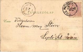 1899 Trencsén, Főtér, vár, Pechanecz-kereskedés; kiadja Szold Henrik / main square, shop