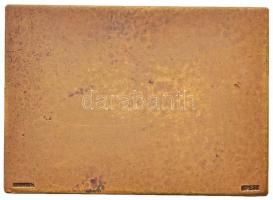 Berán Lajos (1882-1943) ~1930-1940. "Magyar Sí Szövetség" Br plakett, "LUDVIG E BPEST...