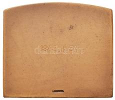 Berán Lajos (1882-1943) 1940. "Magyar Sí Szövetség / 1940. II. 3." Br plakett, "LUDVI...