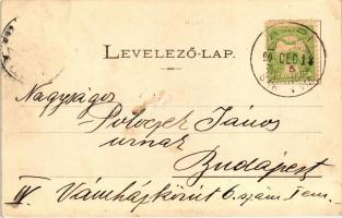 Kapi, várrom, kiadja Divald / castle ruins