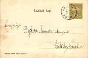 Berethalom, Birthälm; Evangélikus templom, Johann Werner kiadása / church, floral