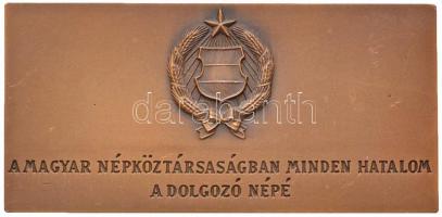 Pándi Kiss János (1905-1981) DN "Magyar Népköztársaság - Parlament" Br plakett (50x100mm) ...