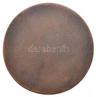 Pálffy Gusztáv (1942-) 1984. "Dr. Hollós József 1876-1947 Kecskemét" Br plakett (108mm) T:...