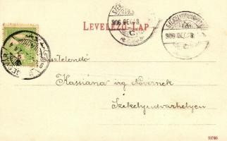 Segesvár, Schässburg; Várdomb / castle hill