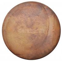 Farkas Ádám (1944-) DN "Erdő és vadgazdaság Gyulaj" Br plakett (95mm) T:1-