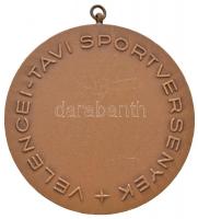 Gáll Gyula (1939-) DN "Velencei-tavi Sportversenyek" Br emlékérem füllel (70mm) T:2
