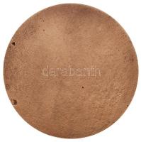 Kovács Dezső (1921-) 1969. "Bács-Kiskun Megyei Borverseny" Br emlékérem (78mm) T:2