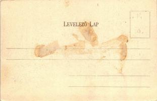 Szeged, Várrom, Divald (ragasztónyom / gluemark)