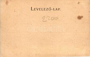 Sztrecsnó, Vár; kiadja Moskóczi Ferenczné / castle