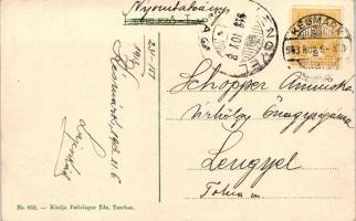 Sztrecsnó, Vár; Feitziger Ede No. 852 / castle