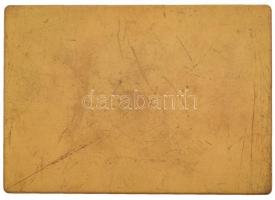 1931. "Sopron szabad királyi város közönsége 1931" aranyozott fém plakett (80x57mm) T:2