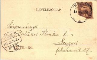 Versec, Várrom; kiadja Wilhelm Wettl / castle ruins