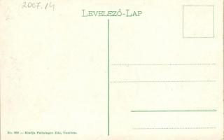 Árva vára északról, kiadja Feitzinger Ede No. 869 L. / castle from north