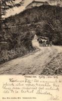 1903 Vöröskő, Vár; Blau Béla kiadása / castle