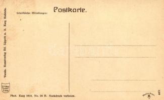 Kufstein, Feldgasse, Schloss / view with the castle