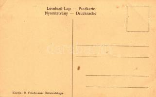 Gölnicbánya, Thurzó-vár romjai, kiadja B. Friedmann / castle ruins (EK)