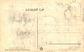 Gyulafehérvár, Karlsburg, Alba Iulia; Alsó várkapu; Weisz Bernát kiadása / lower castle gates