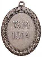 1914. "Vörös Kereszt Ezüst Díszérme hadidíszítménnyel" jelzett Ag kitüntetés csokorszalag ...