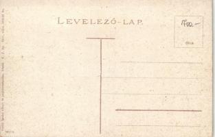 Brassó, Kronstadt; Király sétány, kiadja Benkő Ignácz könyv- és papírkereskedése / Königs-Promenade ...