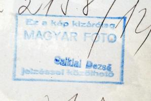 Sziklai Dezső(1910-1997): Poharak, hátoldalon feliratozva, pecséttel jelzett, két sarkán törésnyomok...