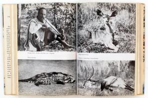 Kittenberger Kálmán, Mészáros Kálmán dr.: Afrikai vadászemlékek. Válogatás - - írásaiból. A válogatá...