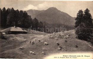 Saint-Cergue, Chalette dArchette