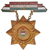 ~1957. "Kiváló Termelőszövetkezeti Tag" zománcozott, aranyozott kitüntetés T:2