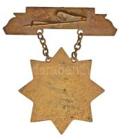 ~1957. "Kiváló Termelőszövetkezeti Tag" zománcozott, aranyozott kitüntetés T:2