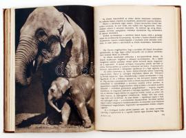 Wiesinger Márton dr.:Állatkerti séta. Budapest,1958, Móra Ferenc.  Kissé viseltes egészvászon kötésb...