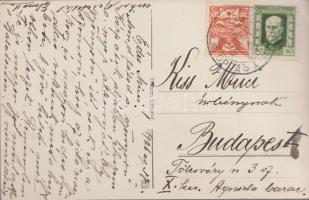 Nevicke, Várrom  / castle (EK)