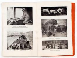 1926 Bp., Szabad Egyetem Népszerű Természettudományi Folyóirat III. évfolyamának 7-8. száma, állatke...