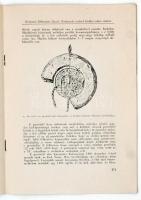 Keöpeczi Sebestény József: Kolozsvár címere(Das Wappen der königlichen Freistadt Kolozsvár). Kolozsv...