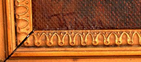 Olvashatatlan jelzéssel: Matrózinas, olaj, vászon, díszes fa keretben, 25,5×16,5 cm