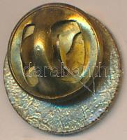 DN "UTE (Újpesti Torna Egylet) 1885" festett fém jelvény T:2