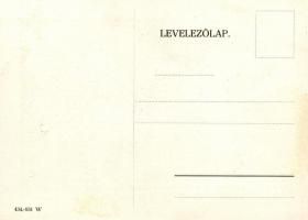 Magyar pilóta / Hungarian pilot s: Telbisz