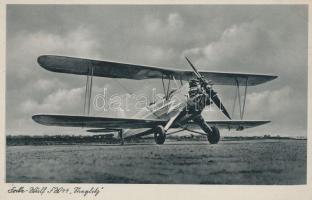 Focke-Wulf FW44 'Stieglitz' / German plane