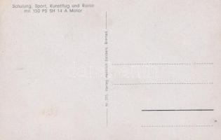 Focke-Wulf FW44 'Stieglitz' / German plane