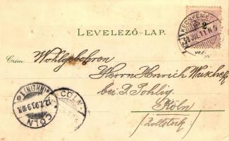 1898 Kecskemét, Fekete Mihály könyvkereskedése, saját kiadása; litho (EK)