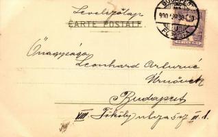 Art Nouveau postcard, floral lady Meissner & Buch; A. Sockl Vienne Serie VI. No. 30 litho